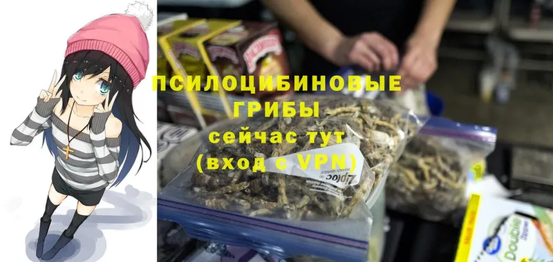 Продажа наркотиков Талдом Cocaine  Меф  A PVP  Галлюциногенные грибы  Гашиш  МАРИХУАНА 